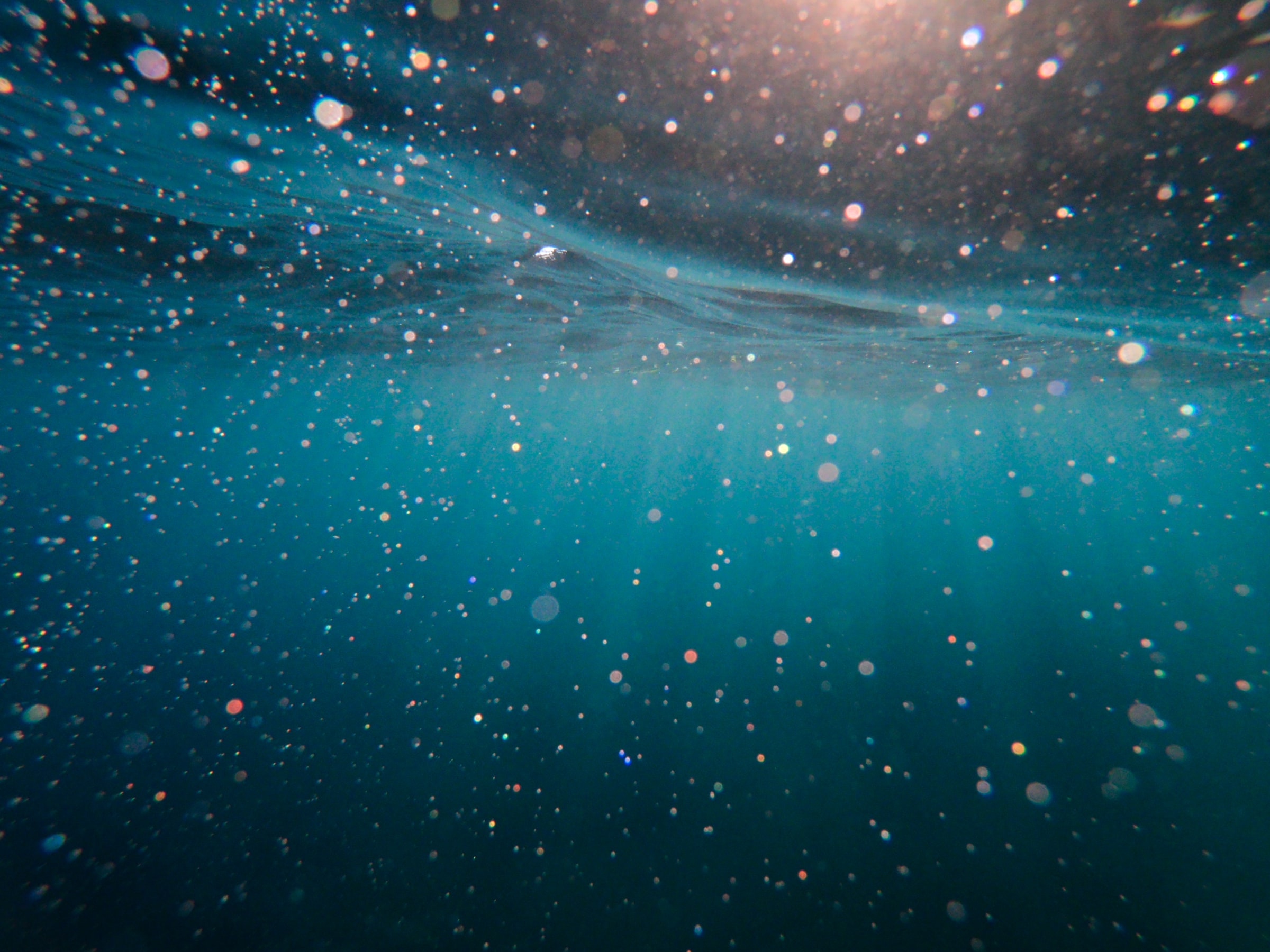 Ocean water, particle physics, marine optics: Photo by Cristian Palmer on Unsplash